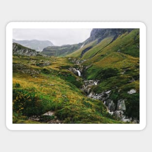 River Running Through Lush Green Alpine Landscape in Switzerland Sticker